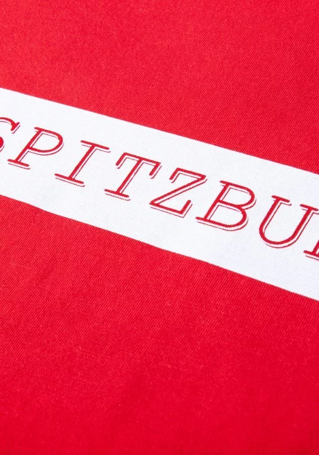 Regular Fit Shirt aus Baumwolle "Udo"