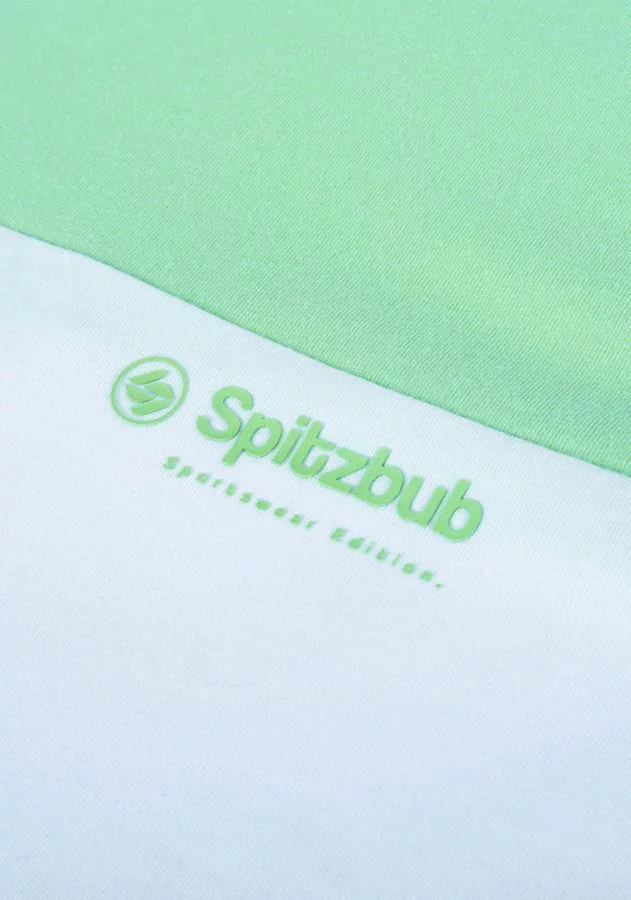 Regular Fit Shirt aus Baumwolle "Bastian"