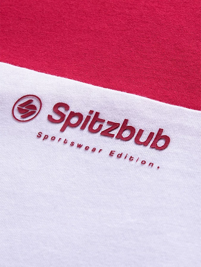 Regular Fit Shirt aus Baumwolle "Sascha"