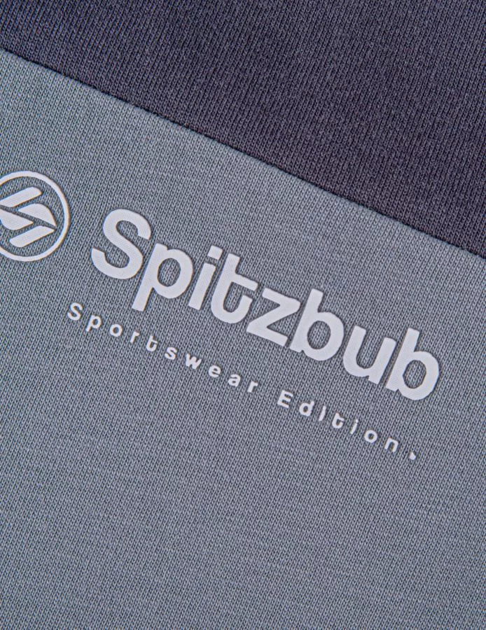 Regular Fit Shirt aus Baumwolle "Frank"