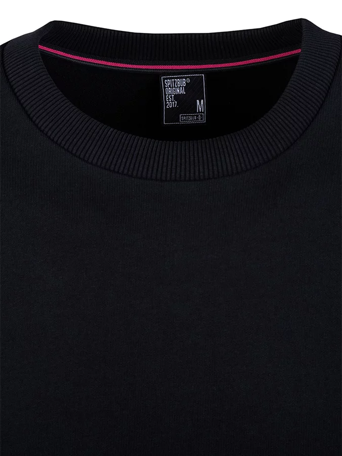 Pullover mit Dezentem Logostick "Theo"